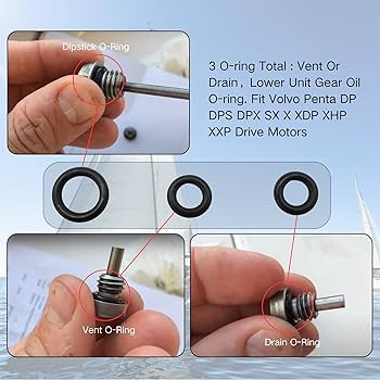 Amazon.com: SeaSierra 3852045 3855081 Marine Dipstick and